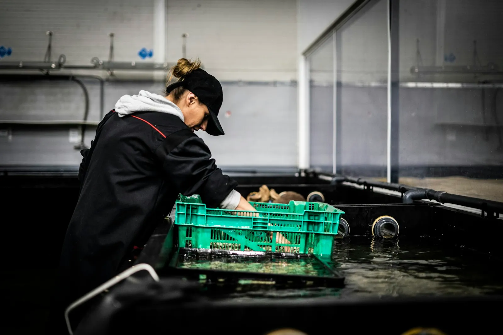 Operatør overvåker vannkvalitet og biofilter i RAS-system