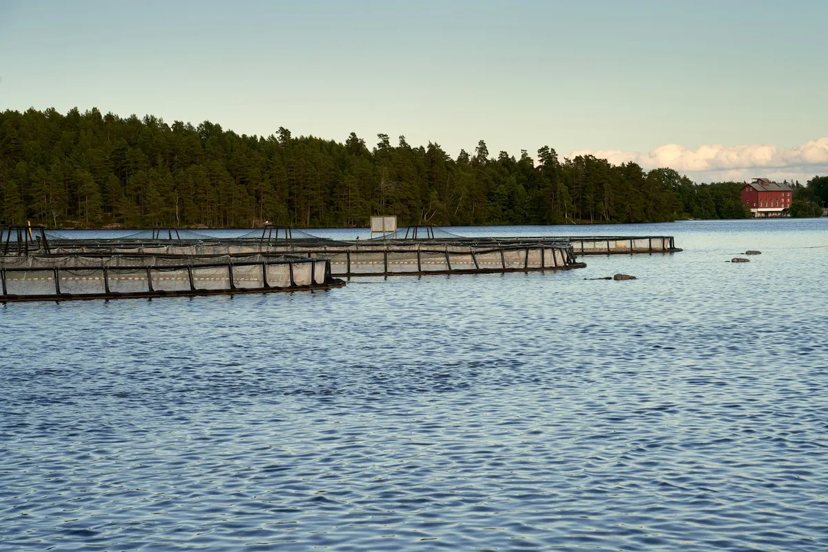 Innendørs RAS-anlegg for laksesmolt med store kar og resirkulasjonssystem