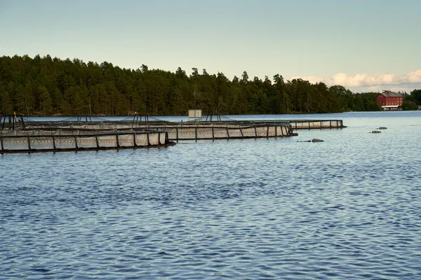 Innendørs RAS-anlegg for laksesmolt med store kar og resirkulasjonssystem