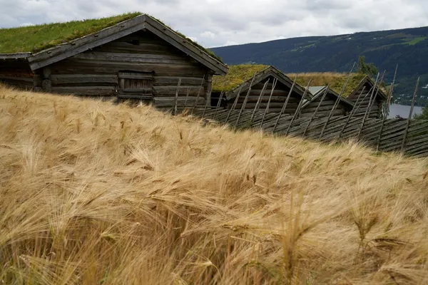 Norsk gård med tilleggsnæring som gårdsbutikk og turisme